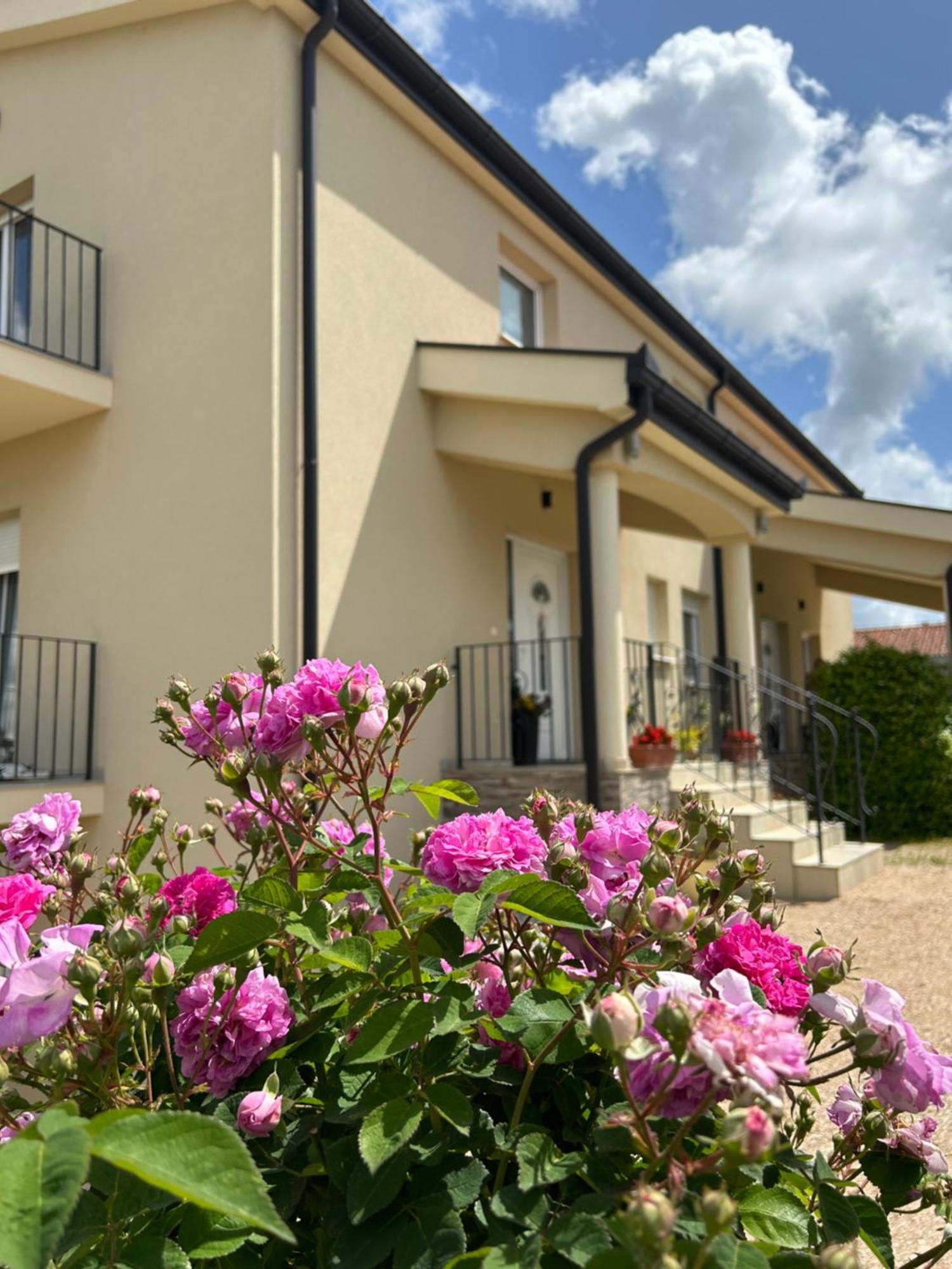 Apartman Marija Međugorje 外观 照片